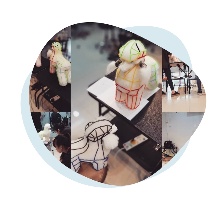 Supergroomers Pet Academy.